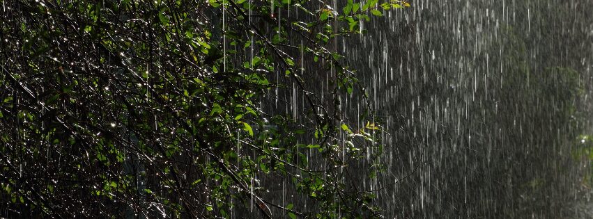 Mejor epoca para viajar a Colombia 22