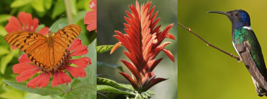 Mejor epoca para viajar a Colombia 5