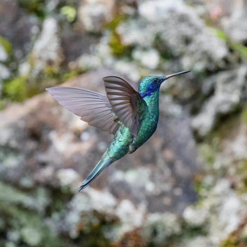tour eje cafetero todo incluido