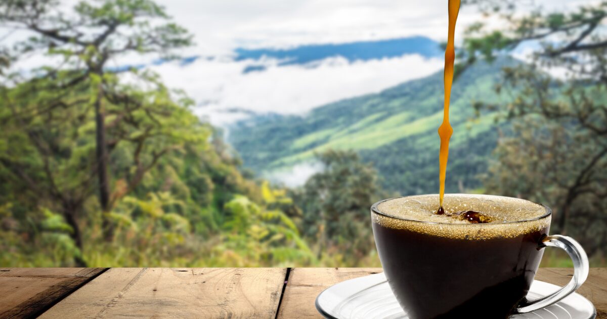 Guía de Viajes a Colombia en 2026 16 Guía de viajes a colombia