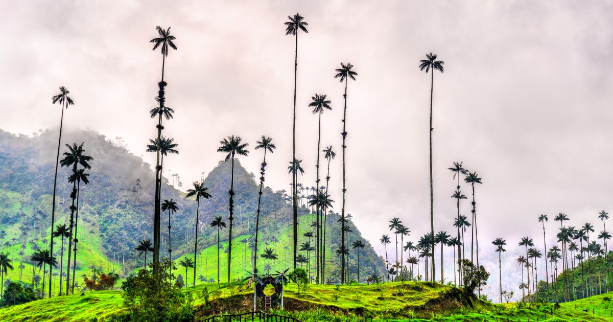 Guía de Viajes a Colombia en 2026 18 IMAGENES PARA LOS BLOGS 7