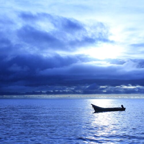 31035559370_3a3fe01341_o