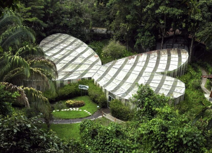 Captura de pantalla 2025-10-07 a la(s) 5.13.51 p.m.