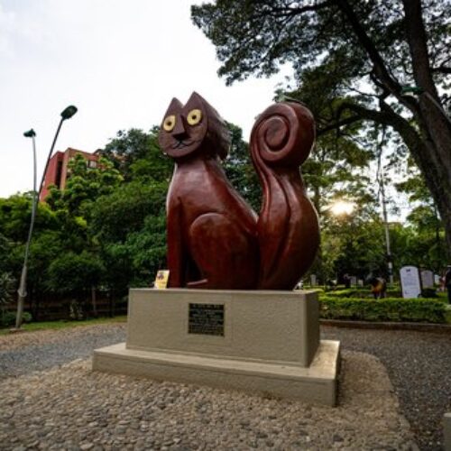 Copia-de-MAT00887-scaled