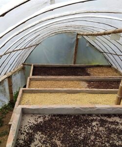 Plan-Alta-Montaña-en-el-Eje-Cafetero-Colombia-Plan-Turístico-Paisaje-Cultural-Cafetero-1