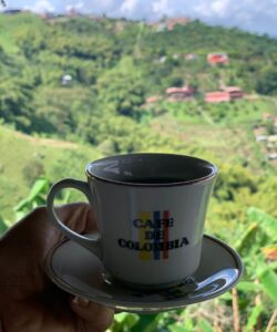 WhatsApp Image 2023-04-07 at 1.15.58 PM