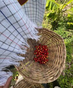 WhatsApp Image 2023-04-07 at 11.23.24 AM