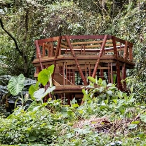 WhatsApp-Image-2023-04-28-at-11.48.13-AM-1-2-scaled