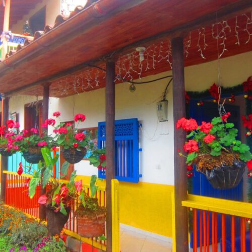 Fincas Tradicionales-Jardín