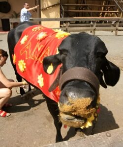 futuro5-800x600-800x600 (1)