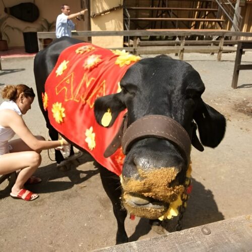 futuro5-800x600-800x600 (1)