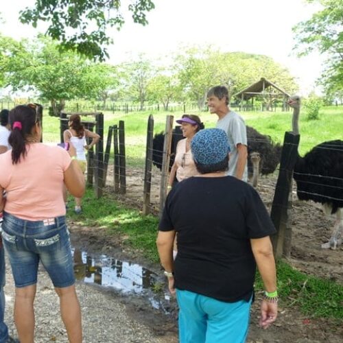 Tour Hacienda Nápoles