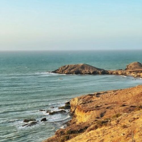 pexels-esteban-zuluaga-18451804-scaled