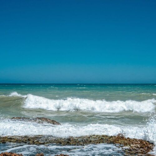 pexels-jhonny-salas-brochero-16041345