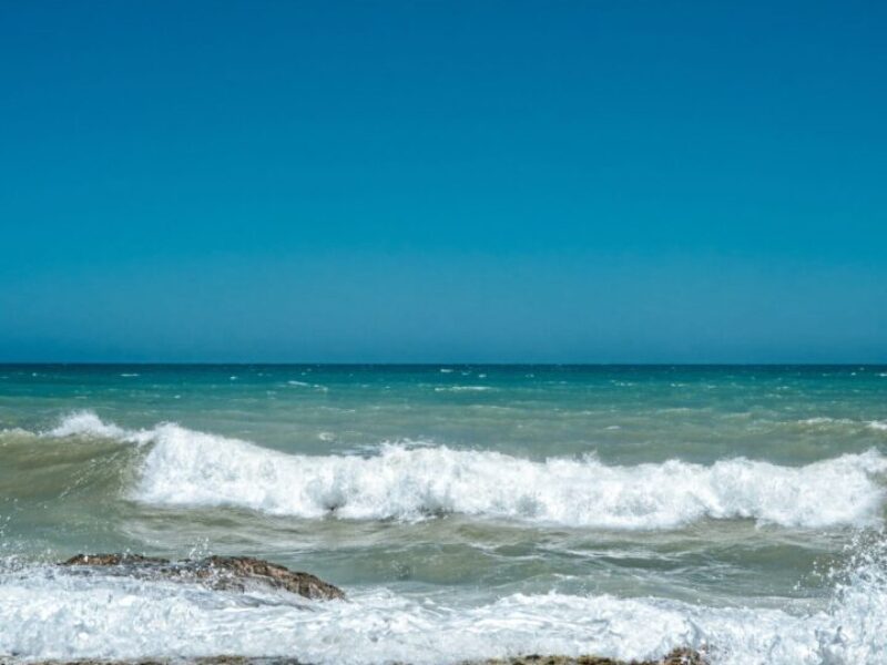 pexels-jhonny-salas-brochero-16041345