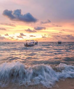 pexels-yanier-figueras-17847662 (1)