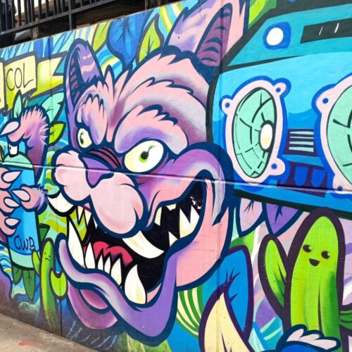 photo_4902723319372033850_y (1)